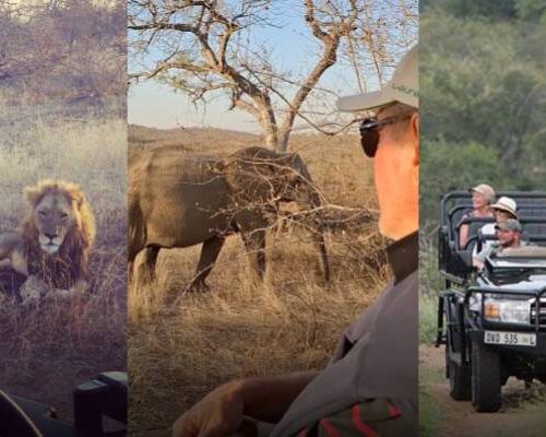 Group 1000002914 (4)